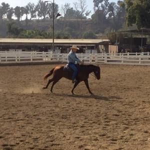 Meet your Posher, Rick